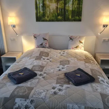 Harz Guest house *