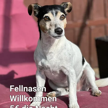 Harz 3* Friedrichsbrunn