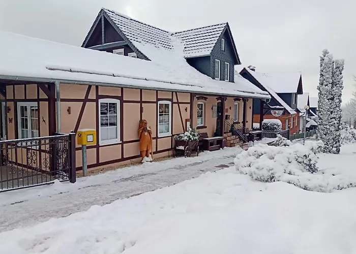 Harz Konukevi Friedrichsbrunn