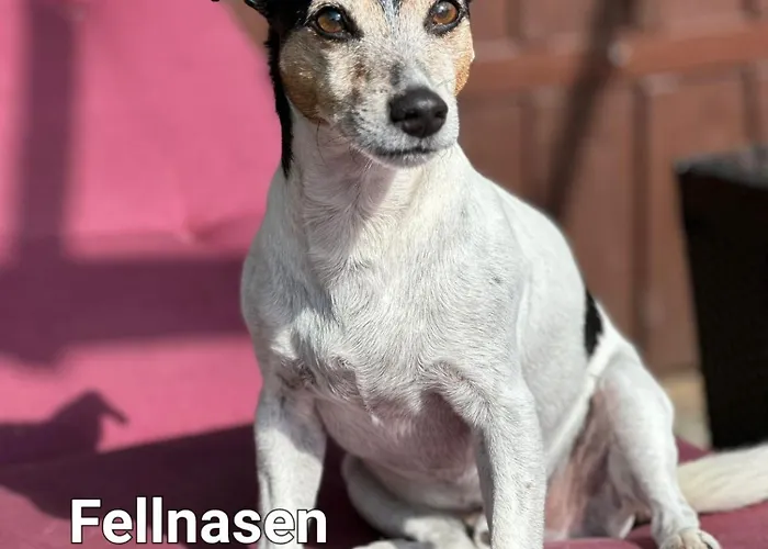 Harz 3* Фридрихсбрун